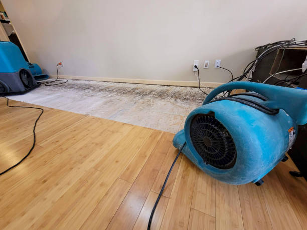 Professional Water Damage Repair technician working in Virginia, VA